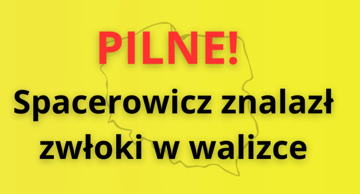Poćwiartowane zwłoki w walizce. Makabra w Ustce