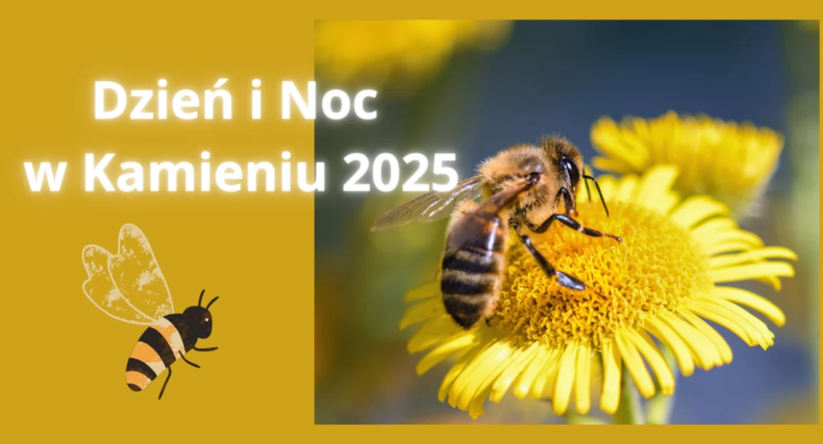 Pawilon Edukacyjny Kamień zaprasza na wyjątkową Noc Muzeów