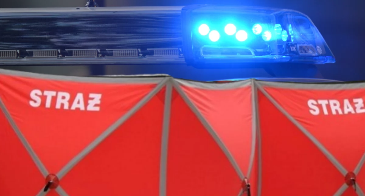 Sobotnia przejażdżka zakończyła się tragicznie. Wypadek w Grabinie