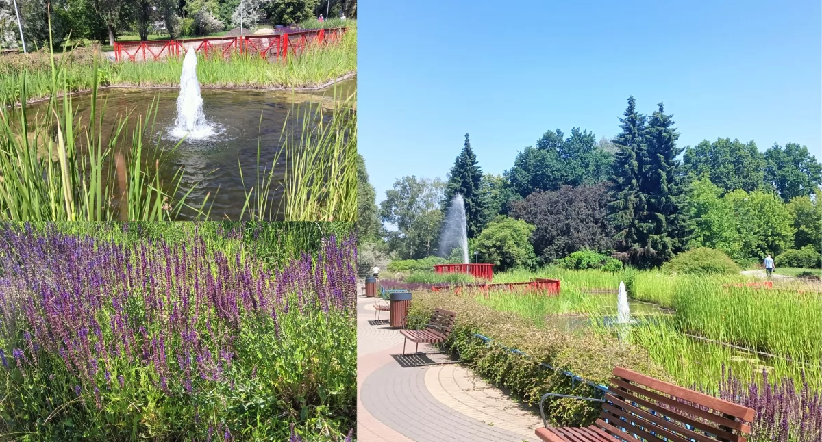 Spacer podczas długiego weekendu? Park im. Edwarda Szymańskiego zaprasza! (ZDJĘCIA) 