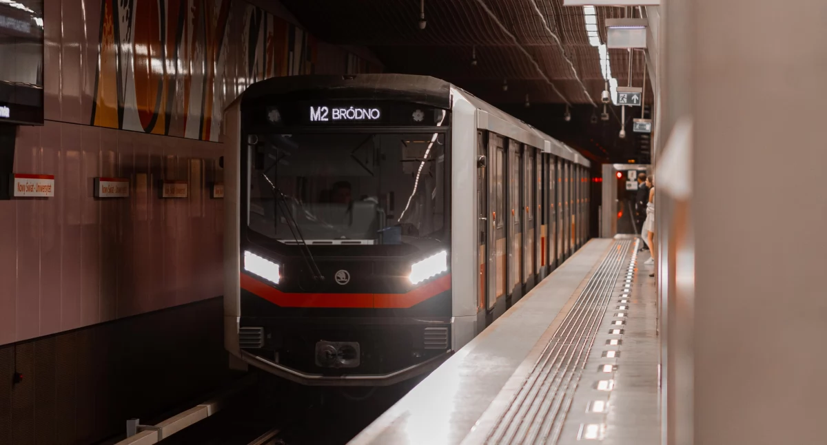 Metrowy wąż na stacji metra! Pasażerowie byli w szoku