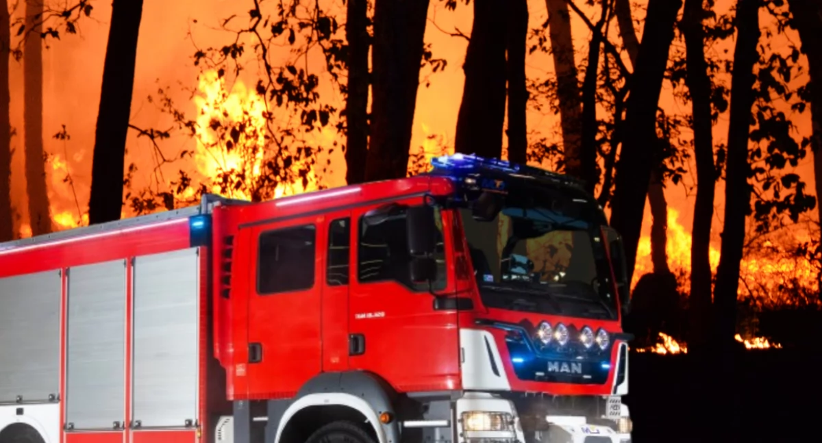 Pożar lasu w Wawrze. Było 