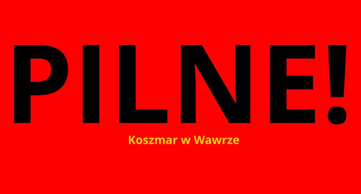 Zmasakrował mu głowę, uderzając nią w chodnik raz po raz. Pobicie w Wawrze