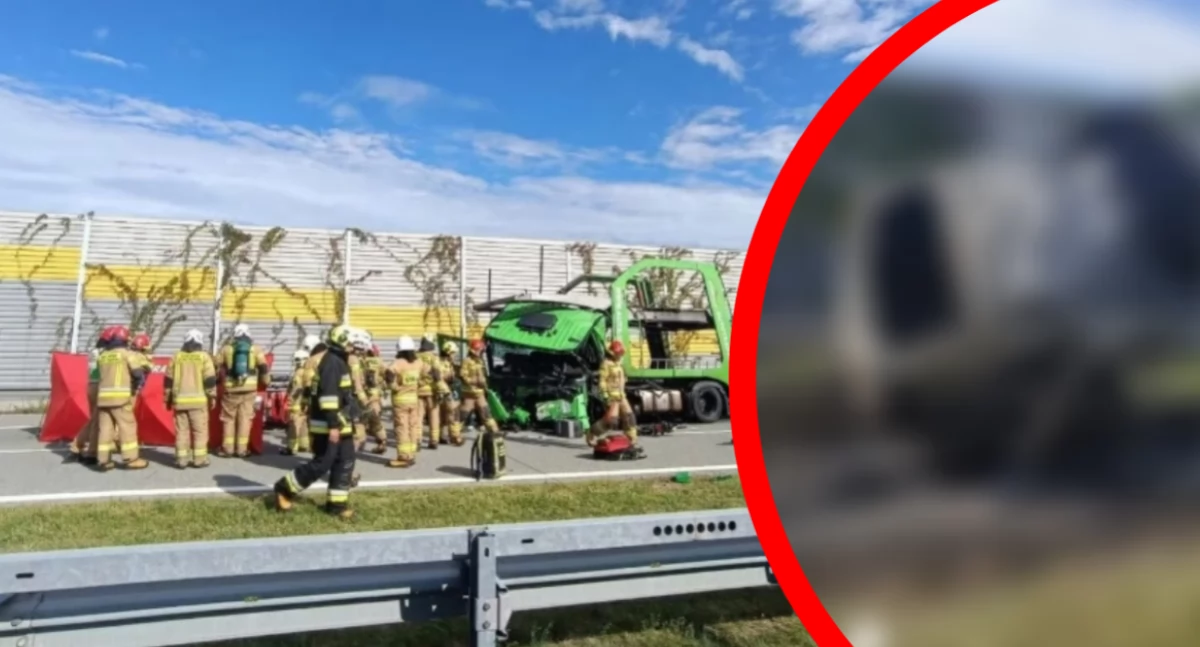 MAKABRYCZNY WYPADEK na trasie S8. Młody chłopak SPŁONĄŁ