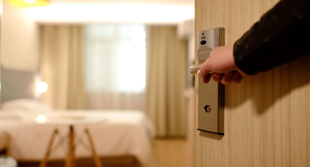 Pluskwy domowe w hotelu? Częstsze niż myślisz 