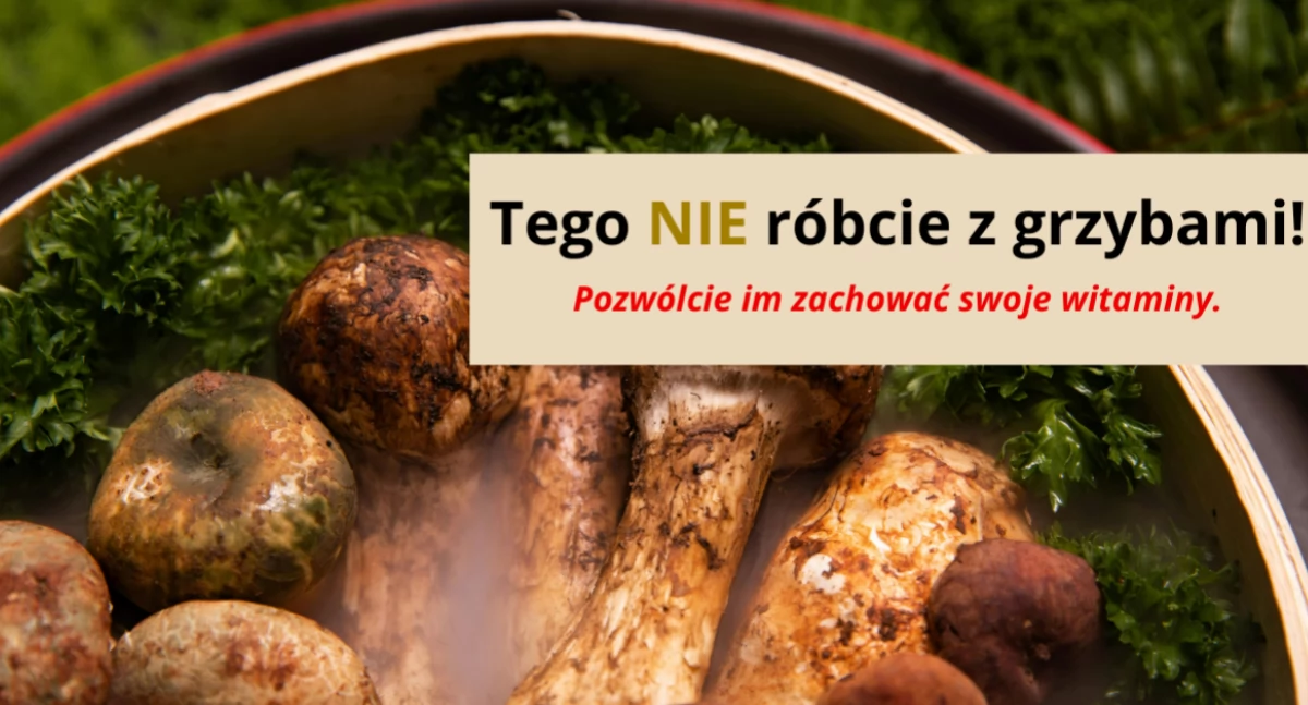 Grzyby TO ISTNY MAGAZYN WITAMIN. Jak je obrabiać?