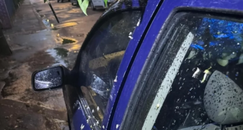 NIE TAKA PROSTA interwencja na Pradze-Południe