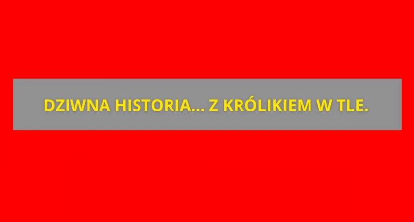 Dziwnie zachowująca się 19-latka ZATRZYMANA. Akcja w Legionowie!