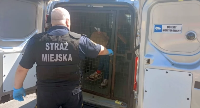 ALKOHOL ZDRADZIŁ POSZUKIWANEGO. Interwencja na Pradze-Południe!