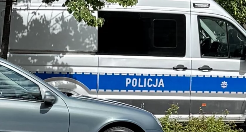 Toyota DACHOWAŁA. Służby walczyły o życie kobiety i jej psa!