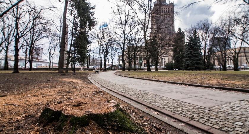 Gdy drzewo padnie, to się je usunie