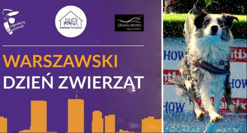 Warszawski Dzień Zwierząt 2017 na Agrykoli