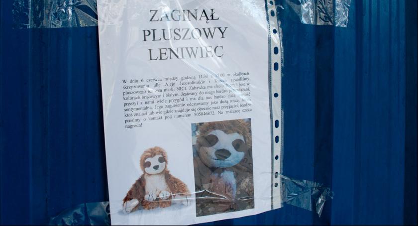 „Zaginął pluszowy leniwiec”