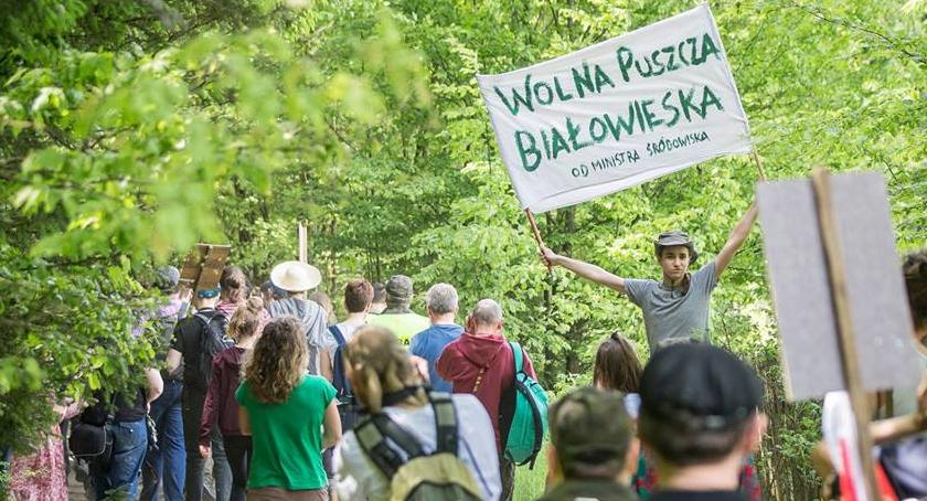Warszawski Marsz dla Puszczy już 24 czerwca