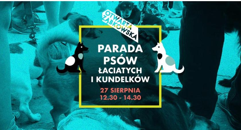 Parada Psów Łaciatych i Kundelków w Warszawie