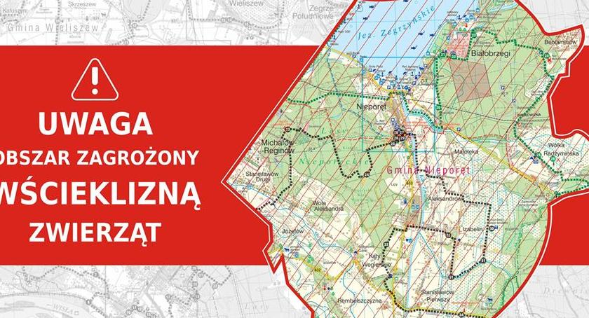 Wścieklizna w powiecie legionowskim! Uważajcie w czasie wycieczek nad Zalew!
