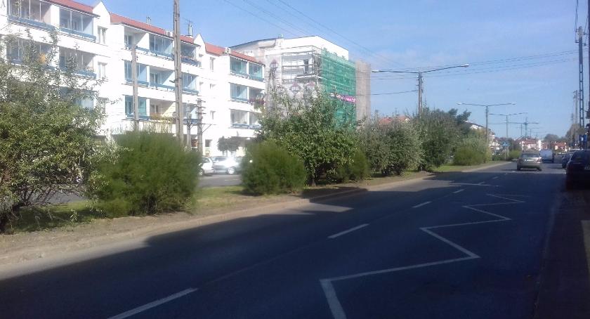Projektant zieleni poszukiwany! Al. gen. Chruściela zyska nowy wygląd