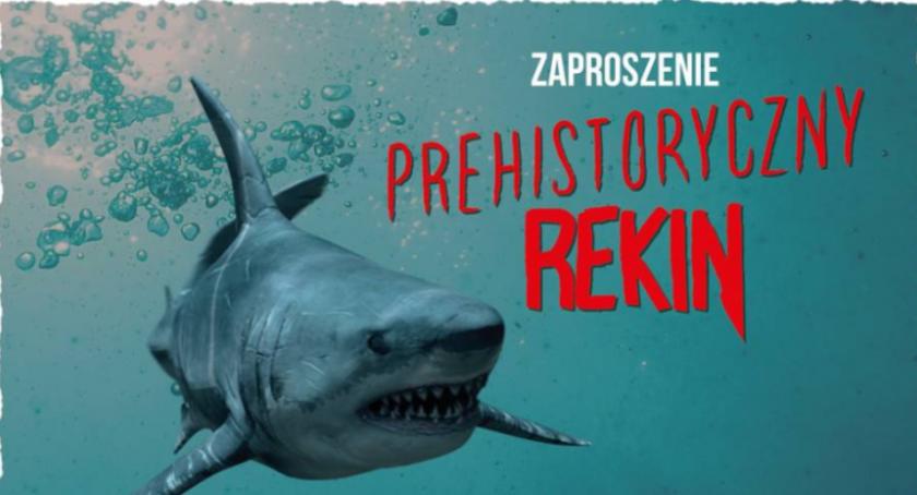 W ZOO zawitał prehistoryczny rekin. Prawdziwy gigant!