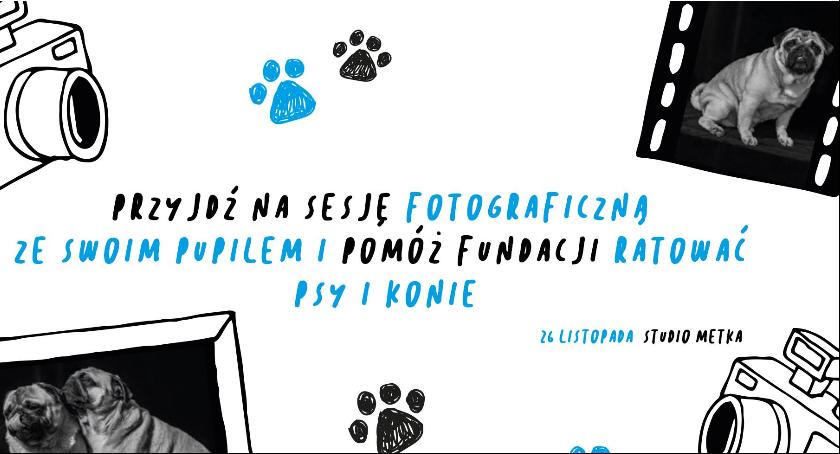 Fundacja Zwierzęca Polana zaprasza na sesję fotograficzną „Sesja dla Polany”