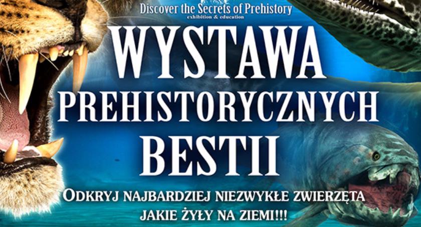 Bestie opanowały Stare Miasto