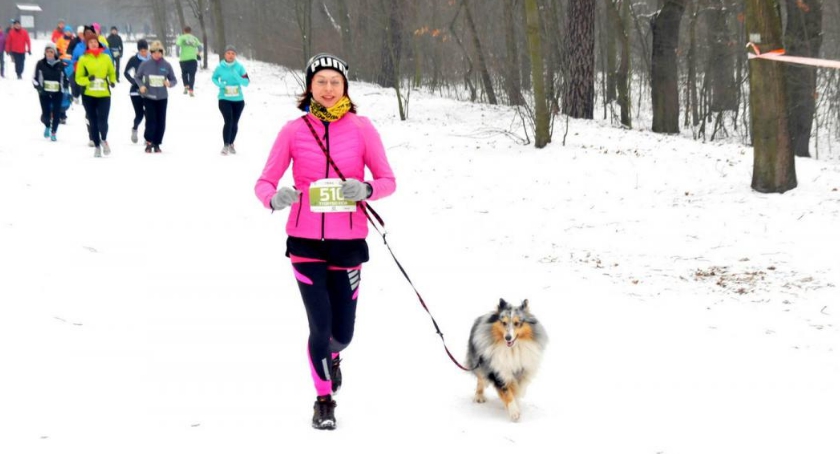 4 bieg Grand Prix CITY TRAIL z Nationale-Nederlanden w Lasku młocińskim