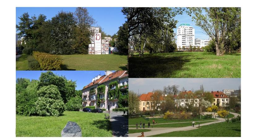 Bezpartyjni Samorządowcy zamierzają uchylić Statut Miasta w zakresie zarzadzania zielenią