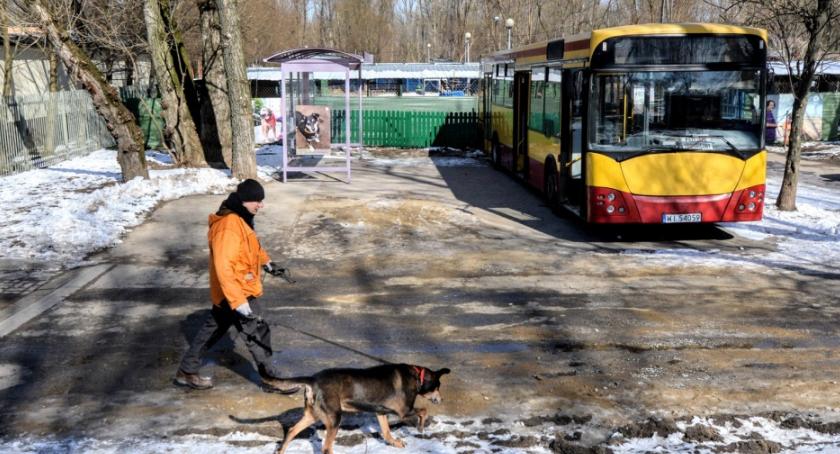 Modernizacja schroniska Na Paluchu - oddział geriatryczny, dużo zieleni i...autobus