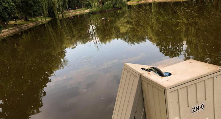 Nagroda za wskazanie wandala. Burmistrz z apelem do mieszkańców