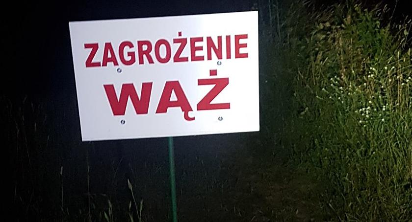 Kolejny dzień poszukiwań wielkiego węża. Jest w gminie Karczew? [ZDJĘCIA]