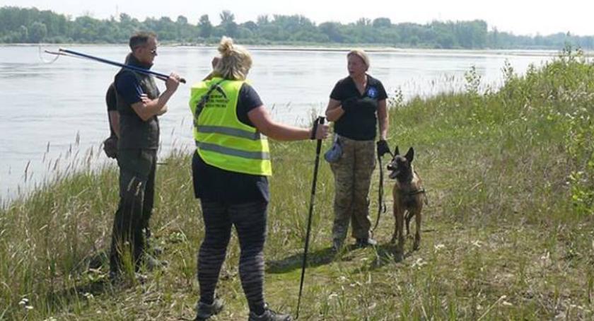 Pies na tropie pytona. Są kolejne ślady obecności węża [ZDJĘCIA]