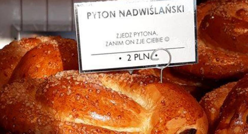 Zjedz pytona zanim on zje ciebie czyli chałka Pyton Nadwiślański