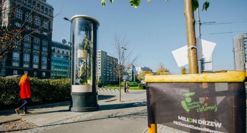 Z tęsknoty za latem... Roślinne kompozycje w gablotach stanęły na ulicach miasta