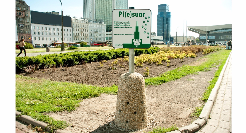Pi(e)suary, czyli psie toalety w centrum Warszawy