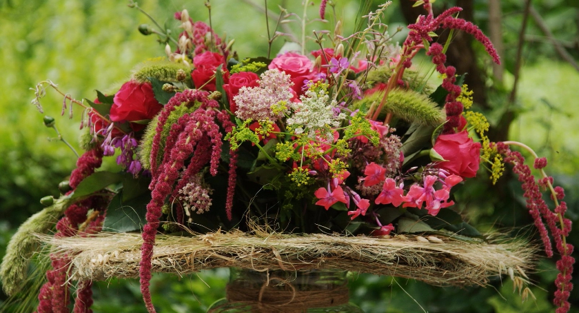 XIV Festiwal Róż w Ogrodzie Botanicznym UW [ZDJĘCIA]