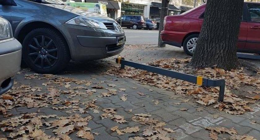 Nowe pomysły na ochronę zieleni przed rozjeżdżaniem. Zdadzą egzamin?