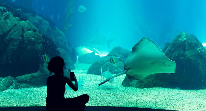 Oceanarium, wybieg afrykański - imponujące plany stołecznego zoo