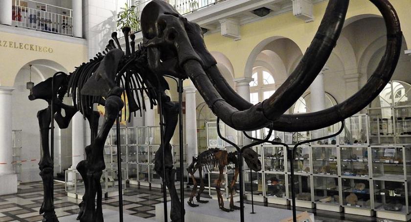 Z wizytą w Muzeum Archeologii. Odwiedzamy mamuta z budowy stacji metra [ZDJĘCIA]