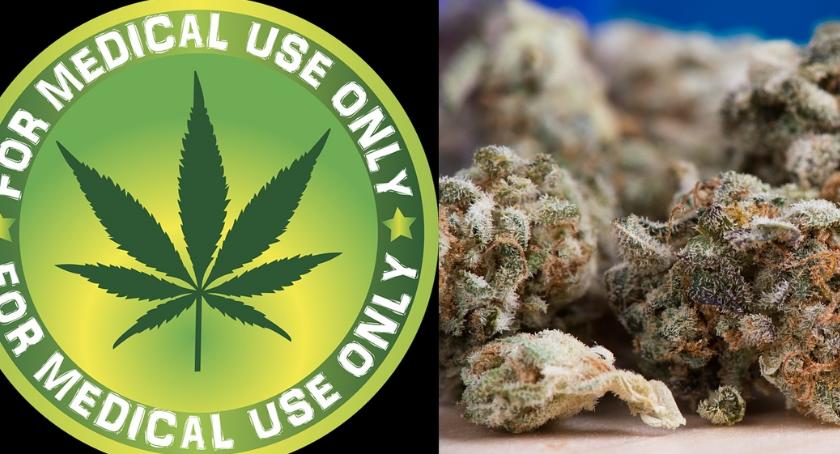 Od dzisiaj marihuana w polskich aptekach