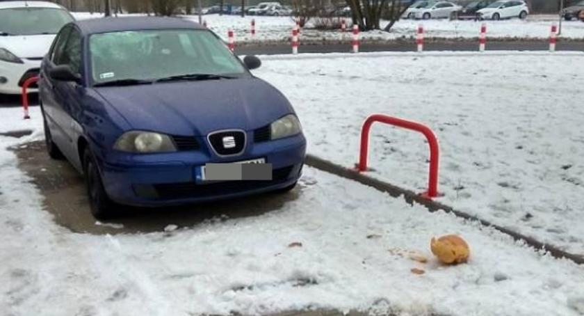 Pozdrawiam ludzi, którzy rzucają dyniami z balkonów. Bez Was Ursynów nie byłby taki sam!