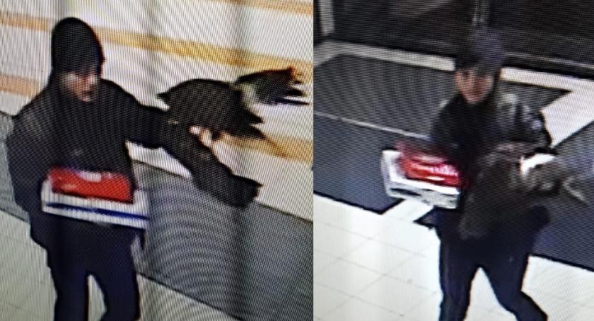 Włamał się i ukradł myszołowca. Szuka go policja [ZDJĘCIA]