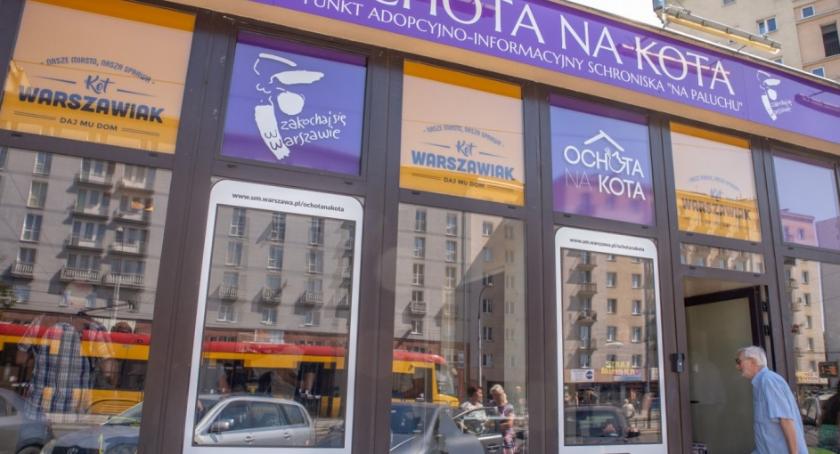 Ochota na kota z szansą na nagrodę. Głosujemy!