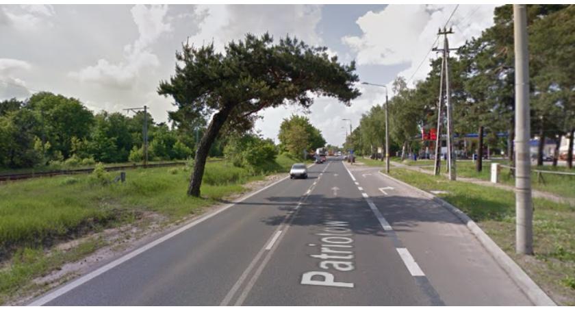 Czy uda się uratować pochyłą sosnę w Wawrze?