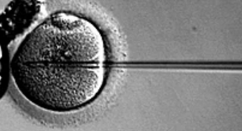In vitro na Mazowszu i w samej Warszawie. 