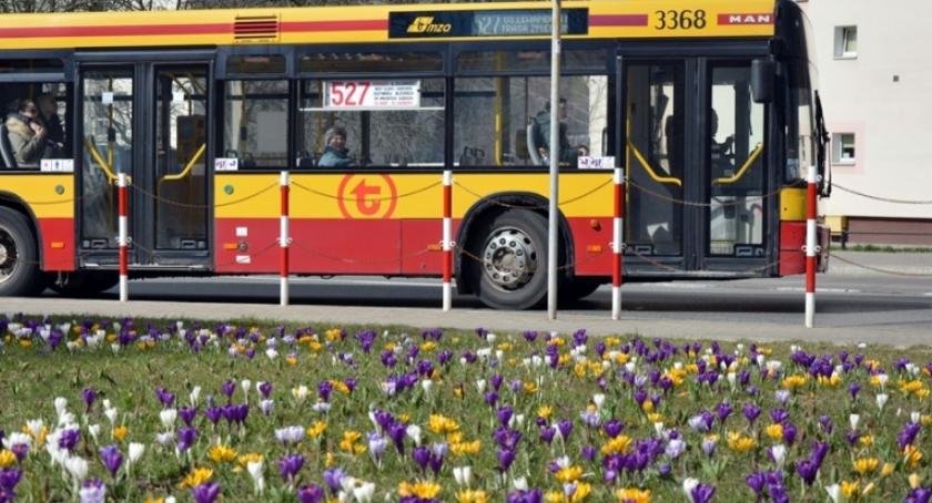 Już są! Sezonowe kwiaty na pętlach komunikacyjnych