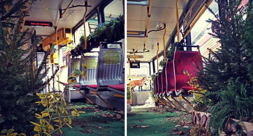 Dzisiaj możemy przejechać się zielonym tramwajem Las 