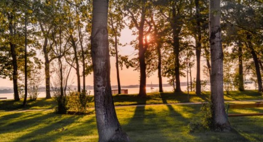 Odnowią Park Praski 