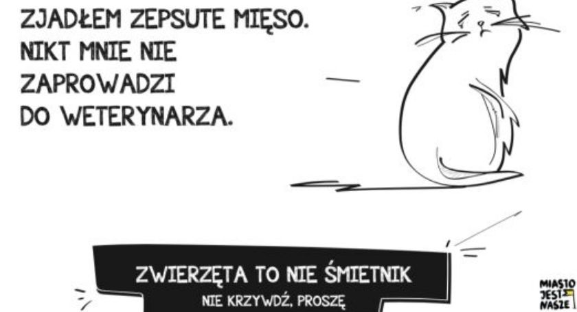 Miejscy aktywiści mówią o dokarmianiu zwierząt