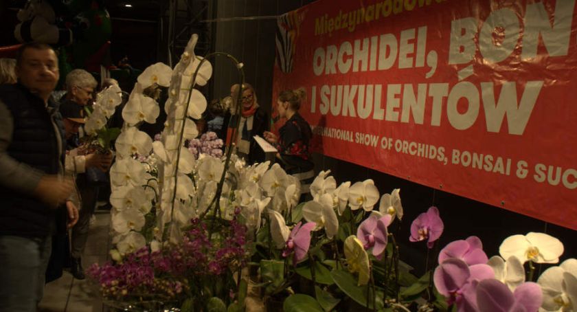 Wystawa Orchidei, Bonsai i Sukulentów w Global Expo [ZDJĘCIA]