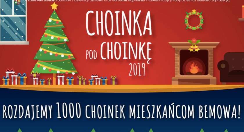 1000 darmowych choinek na Bemowie! Akcja rusza o 12:00 