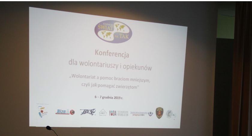 Pomoc braciom mniejszym? Byś wie jak!